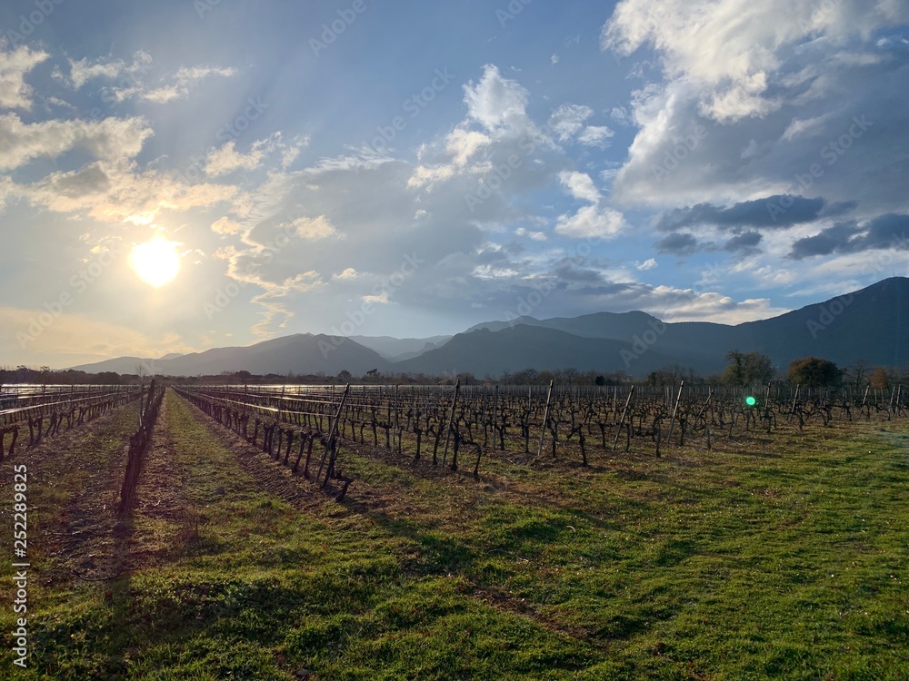 Fototapeta premium Paysage 