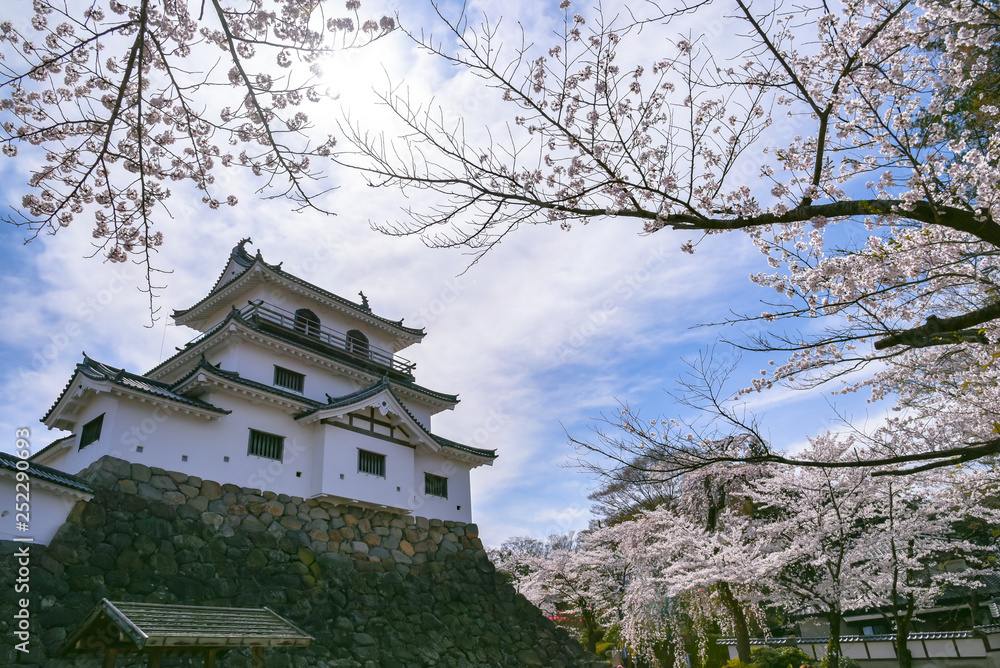 Shiroishi castle with Cherry blossoms and blue sky Shiroishi castle with Cherry blossoms and blue sky