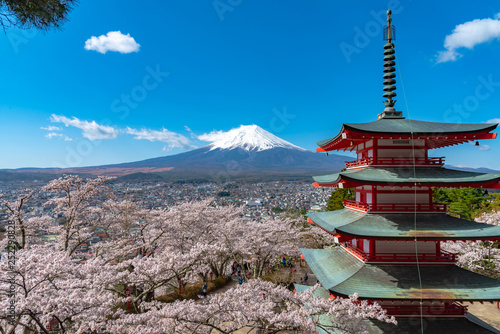 Mount Fuji viewed from behind Chureito Pagoda in full bloom cherry blossoms springtime sunny day in clear blue sky natural background. Arakurayama Sengen Park, Fujiyoshida, Yamanashi Prefecture, Japan