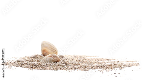 Fotografie, Obraz Sea shells in sand pile isolated on white background
