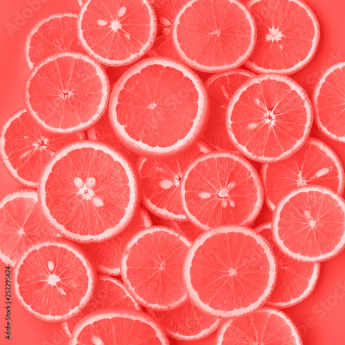 Living Coral color of year 2019  with group of orange slice