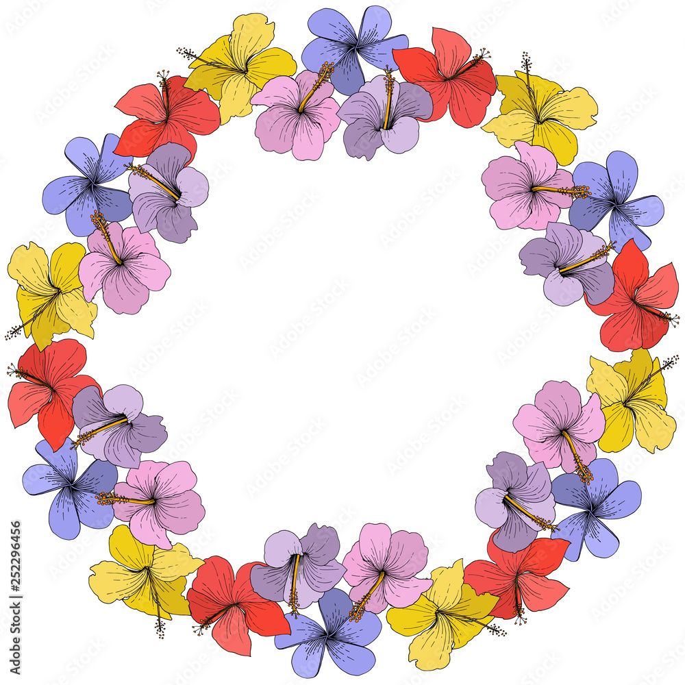 Vector Hibiscus floral tropical flowers. Engraved ink art on white background. Frame border ornament square. Vector Hibiscus floral tropical flowers. Engraved ink art on white background. Frame border ornament square.