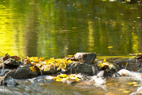 Detail of stones in the creek in the autumn season