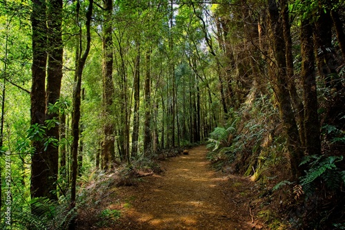 Montezuma Trail