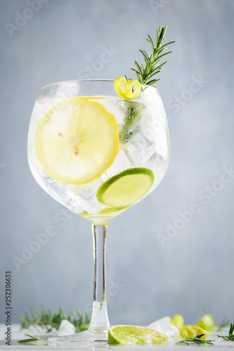Alcohol drink, gin tonic cocktail, with lemon, lime, rosemary and ice on light background, copy space. Iced drink.