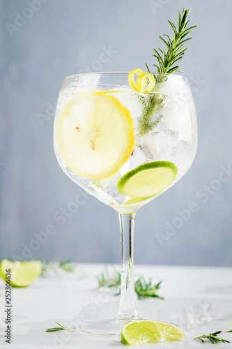 Canvas Print Alcohol drink (gin tonic cocktail) with lemon, lime, rosemary and ice on light background, copy space
