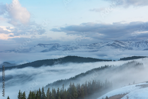 Magic spring fogs in Ukrainian Carpathians overlooking the snow-capped mountain peaks from the picturesque mountain valley with tourists in tents. © reme80