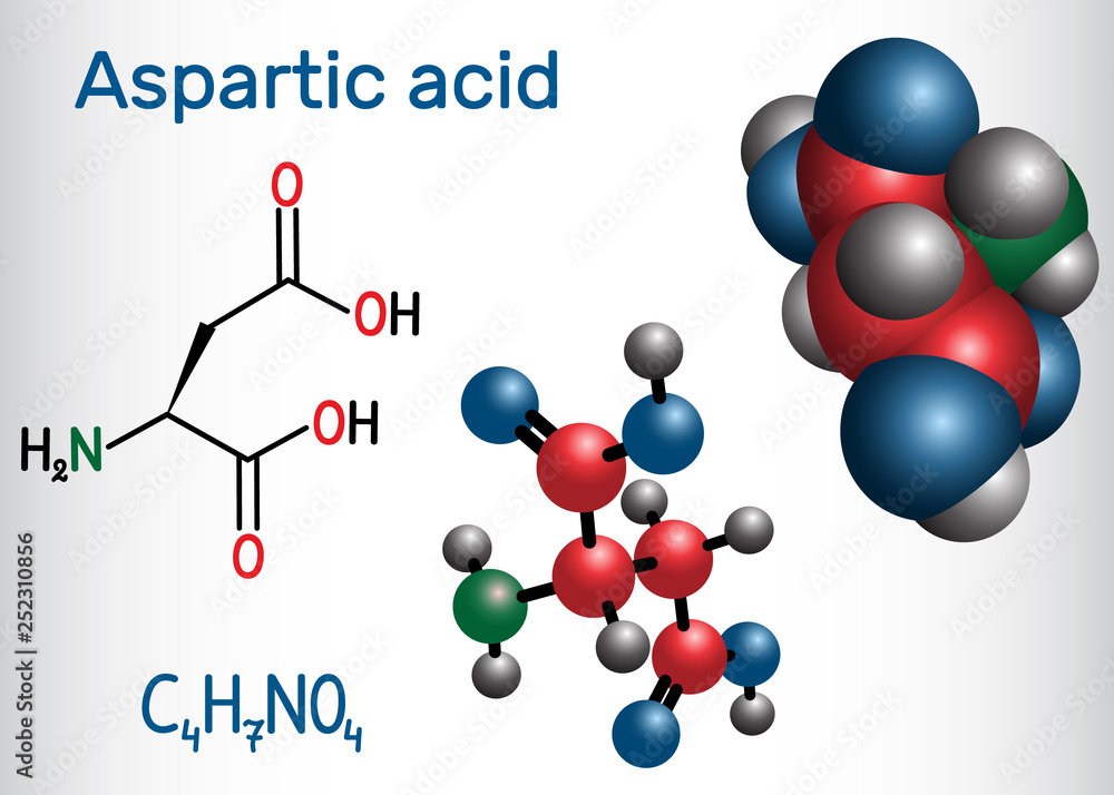 Aspartic acid (L- aspartic acid, Asp, D, aspartate) proteinogenic amino acid molecule. Structural chemical formula and molecule model Aspartic acid (L- aspartic acid, Asp, D, aspartate) proteinogenic amino acid molecule. Structural chemical formula and molecule model