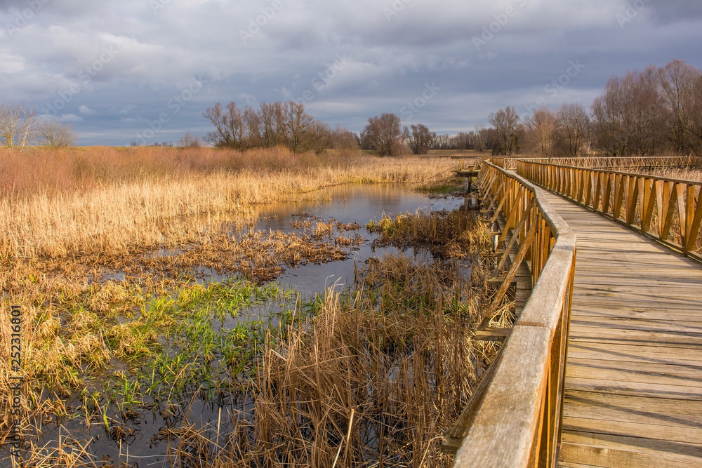 Fototapeta premium A wooden walkway in the Kopacki Rit Nature Reserve in winter in north east Croatia. Located by the Serbian border, close to the confluence of the Drava and Danube rivers, it is one of the largest and 