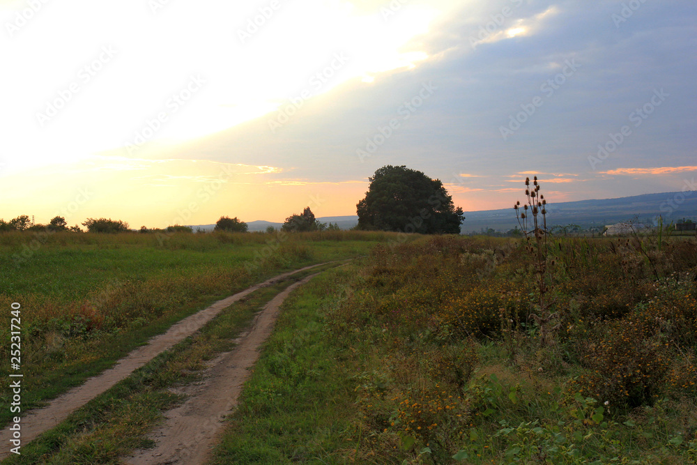Fototapeta premium Landscape with meadow and road at sunset