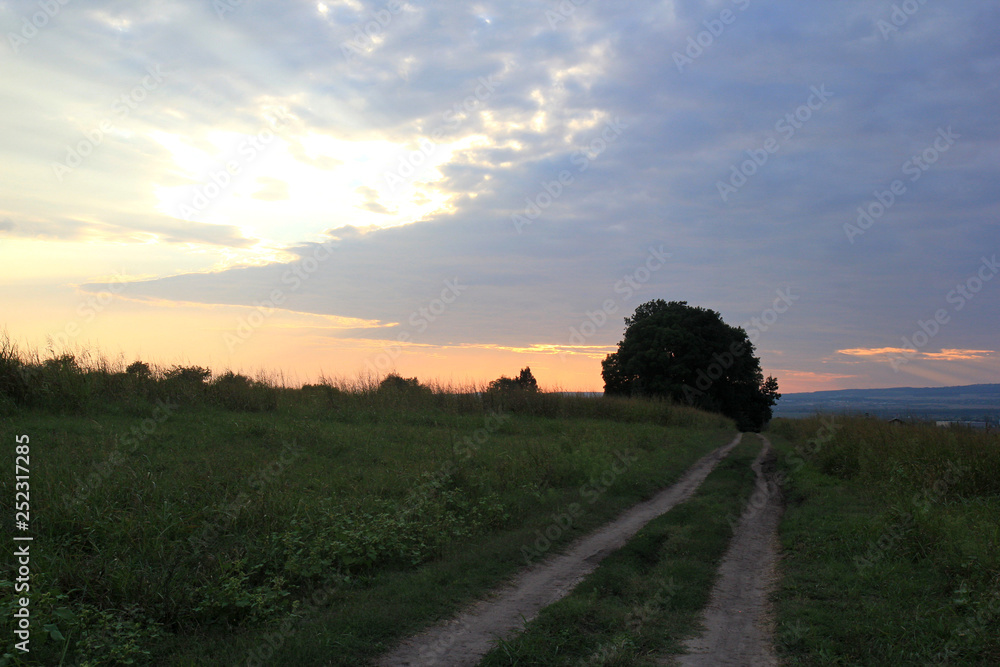 Landscape with meadow and road at sunset