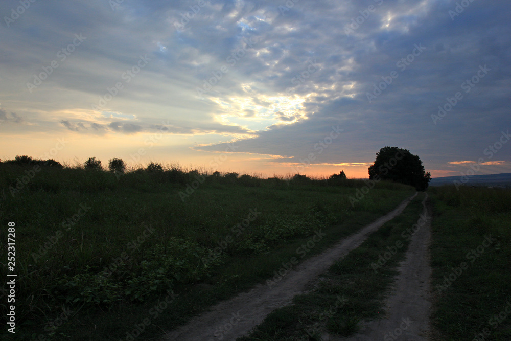 Fototapeta premium Landscape with meadow and road at sunset