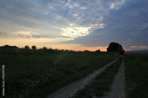 Landscape with meadow and road at sunset