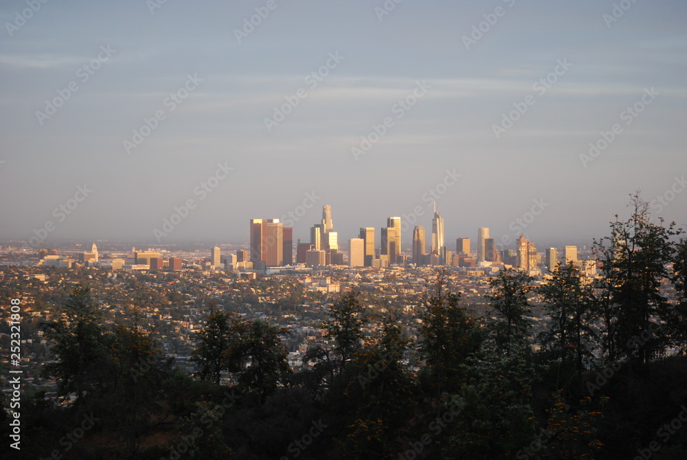 Fototapeta premium LA