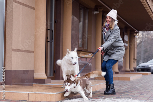 Photography Woman having troubles holding two excited husky dogs on a leash