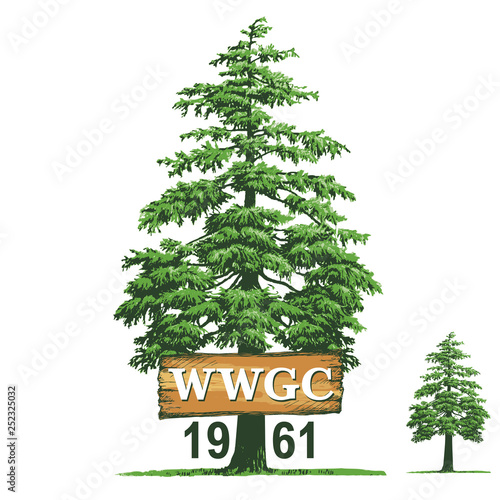 Pine Vector Floral