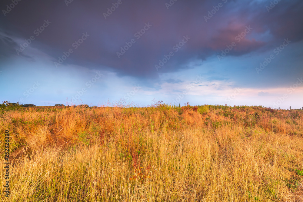 First rainstorm passing after a long period of drought First rainstorm passing after a long period of drought