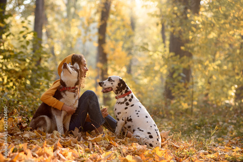 Happy young woman walking in the autumn forest with two dogs. Two Companion Dogs out for a Walk. Dalmatian and siberian husky out for a walk