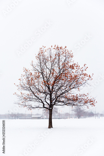 On the cusp of winter