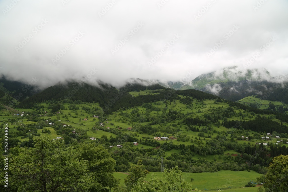 Fototapeta premium green village views. savsat/artvin/turkey