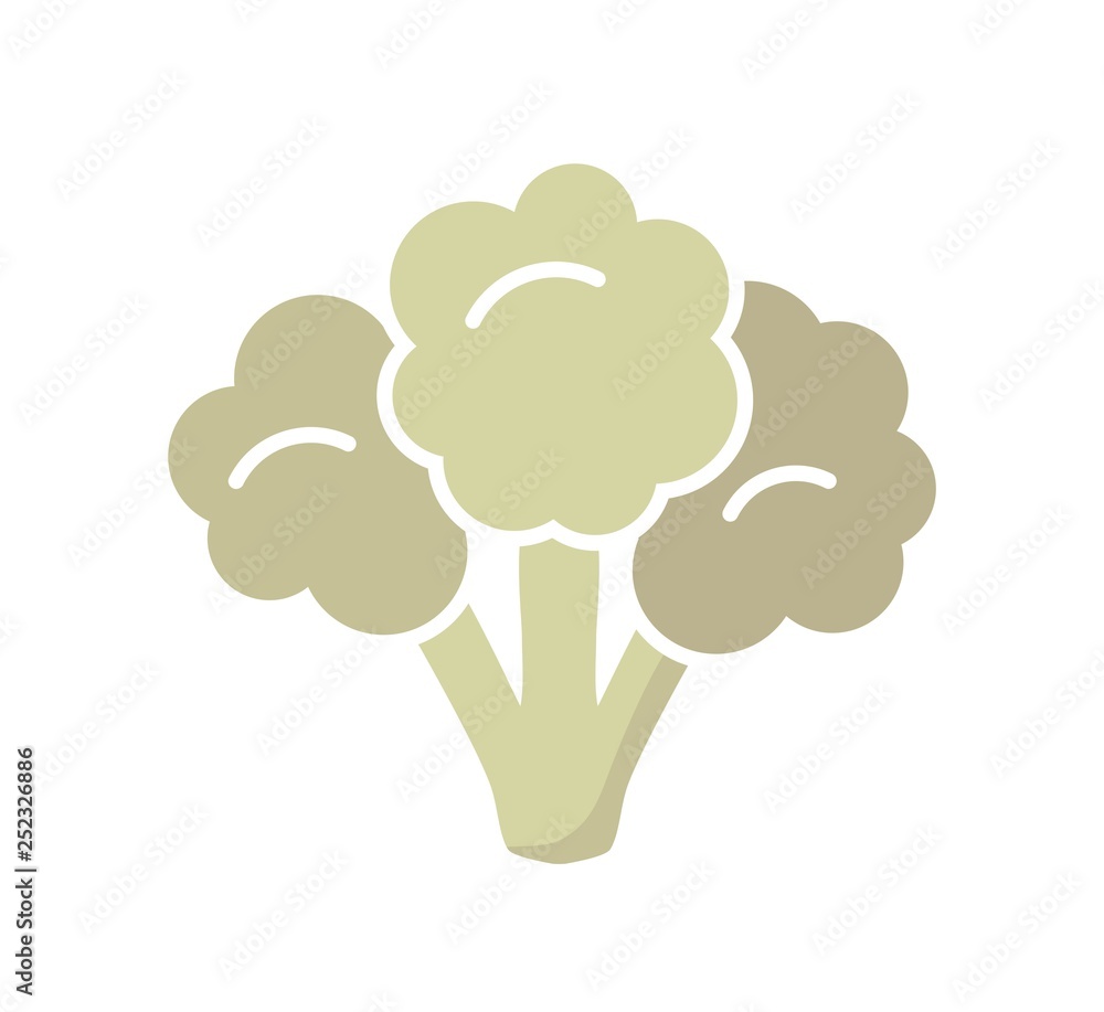 vector vegetable cauliflower cabbage piece vector vegetable cauliflower cabbage piece