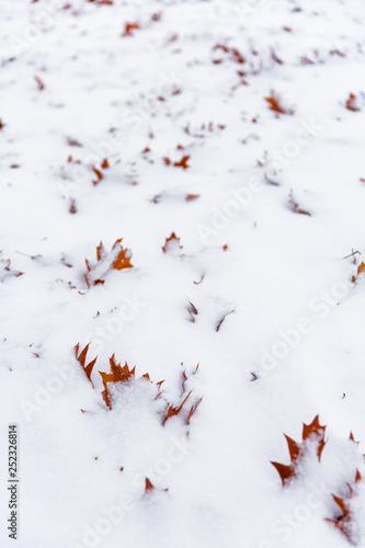 On the cusp of winter