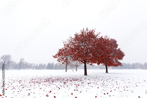 On the cusp of winter