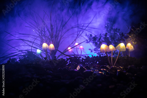 Fantasy glowing mushrooms in mystery dark forest close-up. Beautiful macro shot of magic mushroom or souls lost in avatar forest. Fairy lights on background with fog.