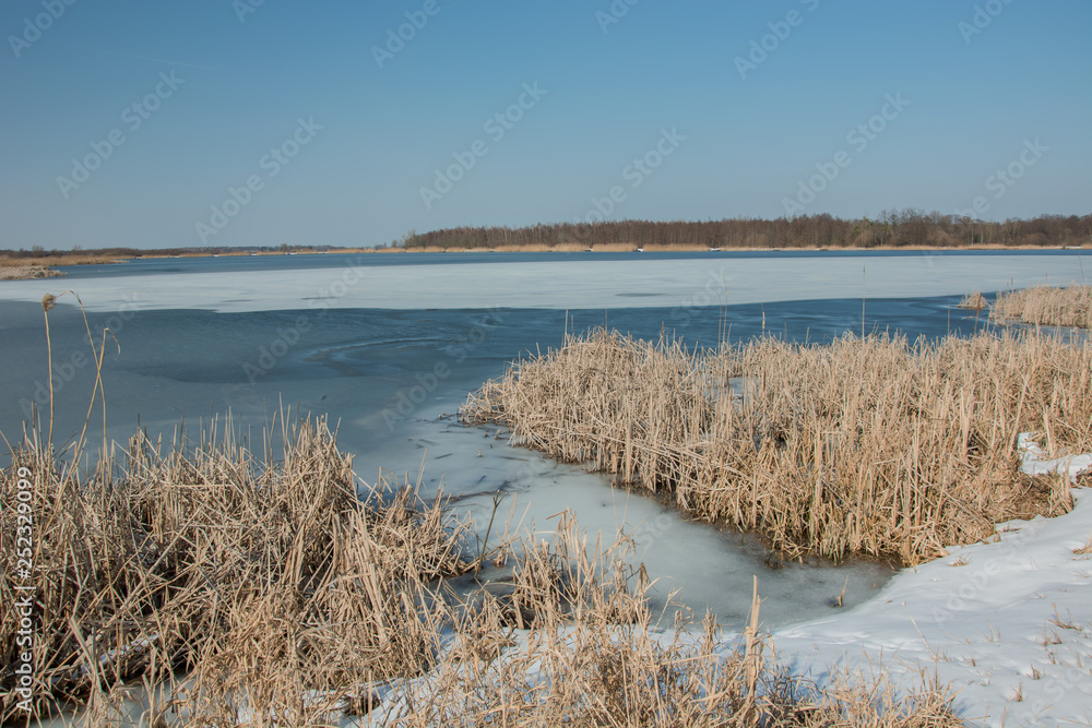 Snow on the shore of a frozen lake and dry reeds. Horizon and blue sky Snow on the shore of a frozen lake and dry reeds. Horizon and blue sky