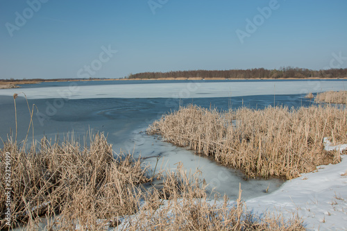 Fototapeta Naklejka Na Ścianę i Meble -  Snow on the shore of a frozen lake and dry reeds. Horizon and blue sky