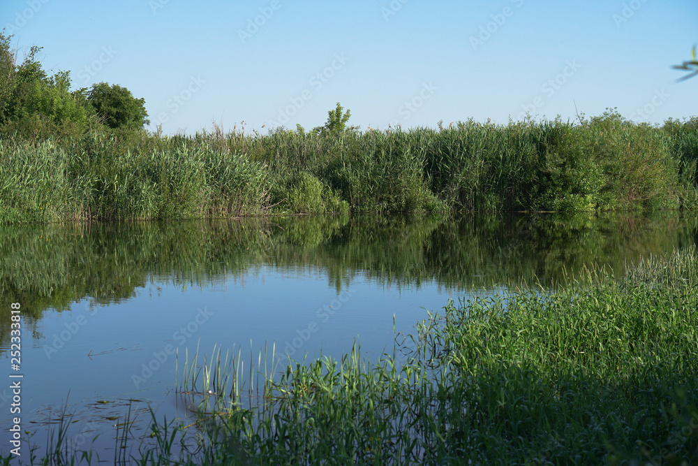 Obraz premium Pretty river in rural areas. European landscape of Russia and Siberia. Beautiful tranquil view of nature. Stock background, photo.