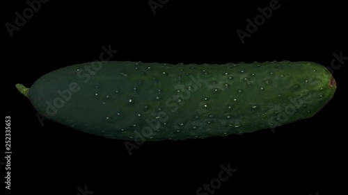 Realistic render of a rotating pickling cucumber on black background. The video is seamlessly looping, and the 3D object is scanned from a real cucumber. photo