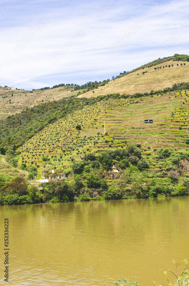 Vineyards and river in Portugal