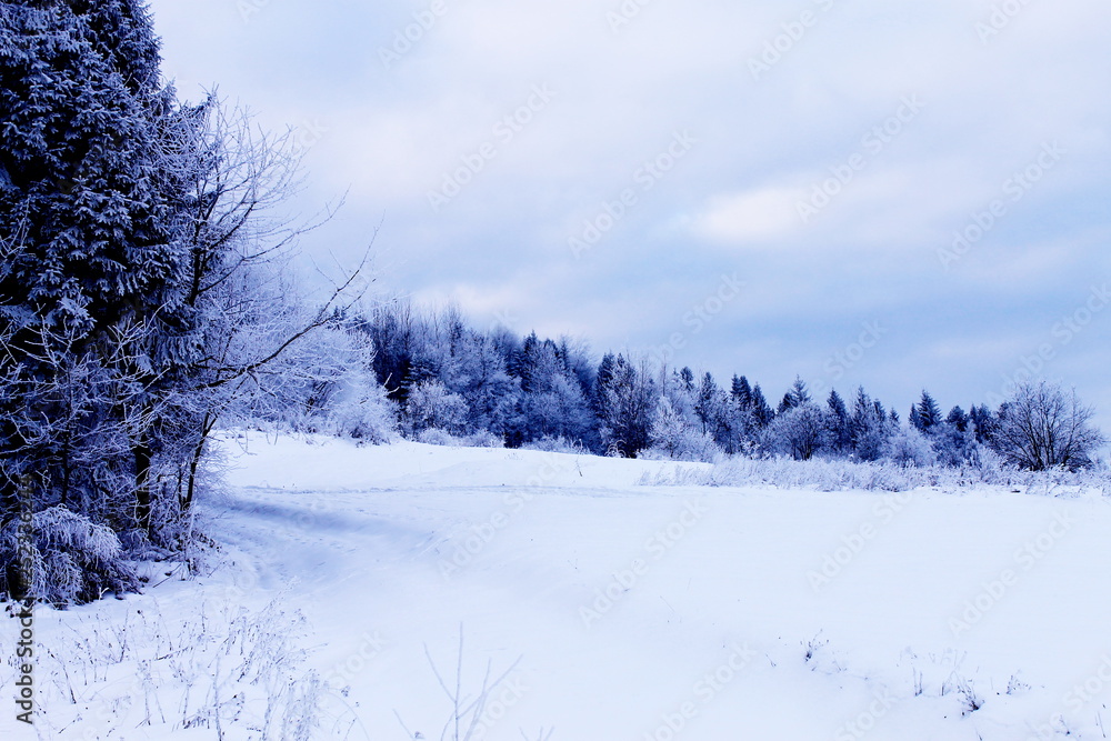 winter landscape with trees and snow winter landscape with trees and snow