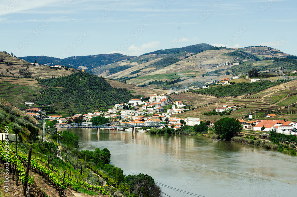 vineyard region with old city, Portugal