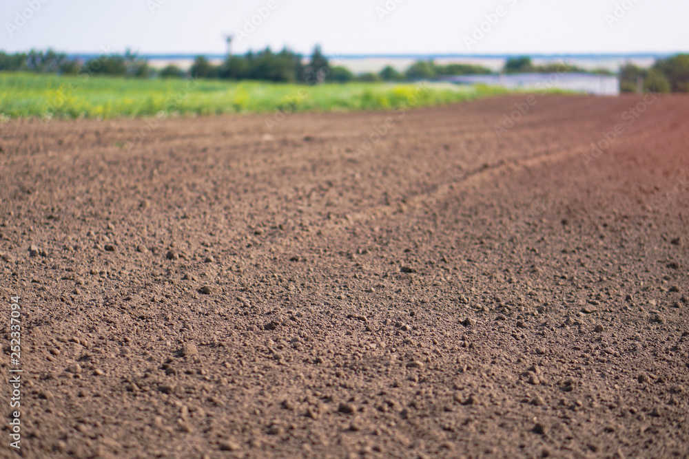 Landscape with agricultural land, in slope, recently plowed and prepared for the crop, with a plantation. summer field. Stock background, photo