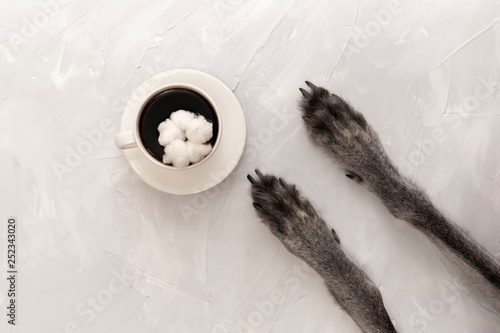 a cup of black coffee on a saucer in the center and dog paws on a gray background. view from above. copy space