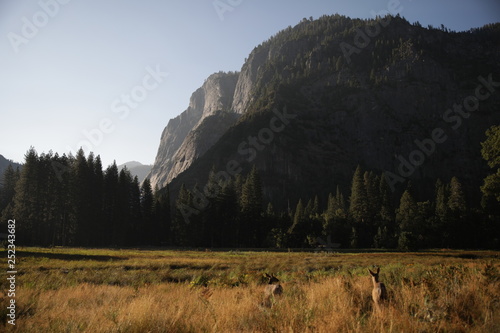 Photography Yosemite Valley