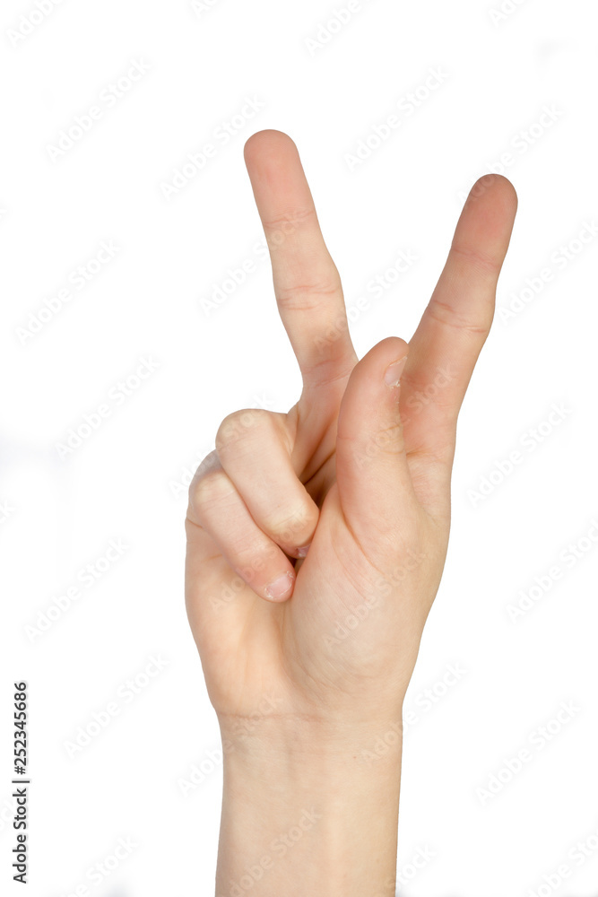 Alphabet in American Sign Language Alphabet in American Sign Language
