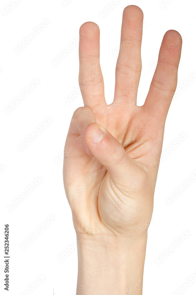 Alphabet in American Sign Language Alphabet in American Sign Language