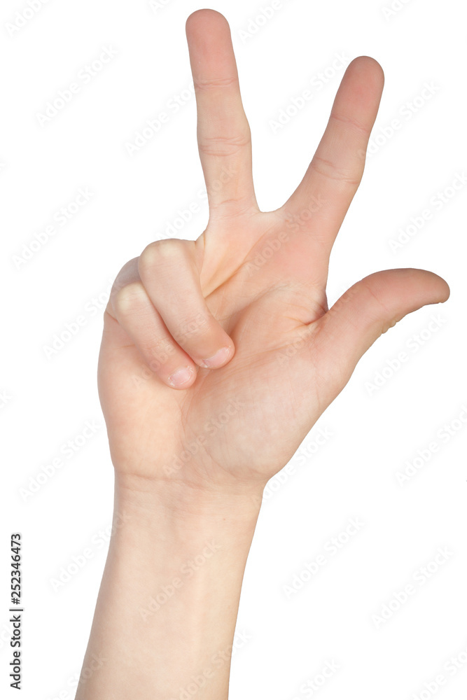 Alphabet in American Sign Language Alphabet in American Sign Language