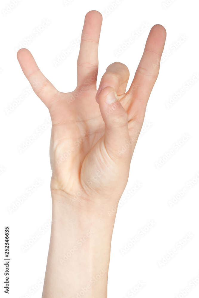 Alphabet in American Sign Language Alphabet in American Sign Language