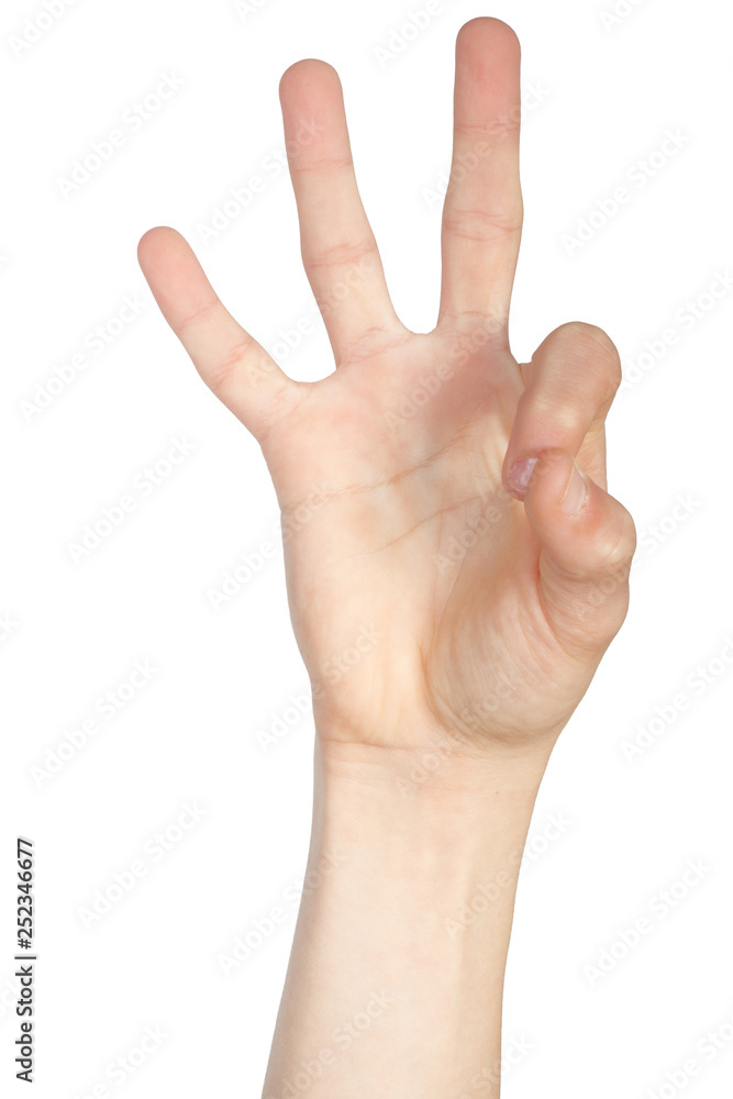 Alphabet in American Sign Language Alphabet in American Sign Language