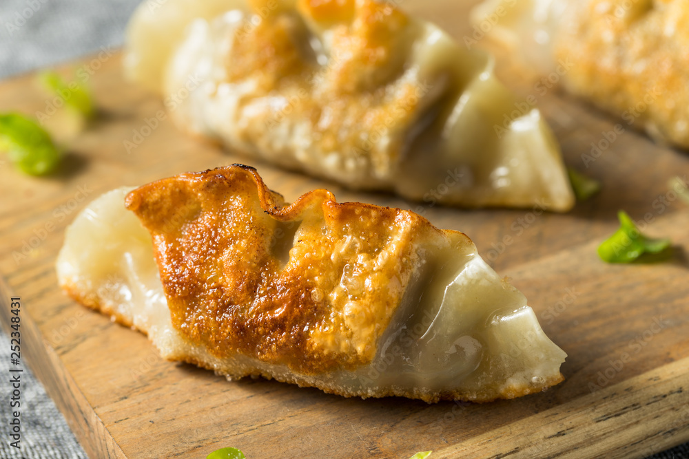 Homemade Korean Mandu Pork Dumplings Homemade Korean Mandu Pork Dumplings