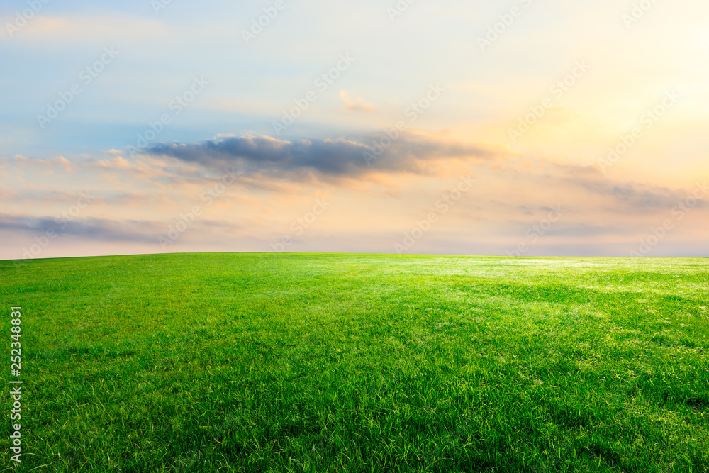 Green grass and beautiful sky at sunset Green grass and beautiful sky at sunset