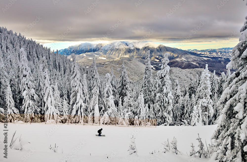 Panoramic view over the ski slope Poiana Brasov ski resort in Transylvania, Pine forest covered in snow on winter season,Mountain landscape in winter with the Bucegi Mountains in the background