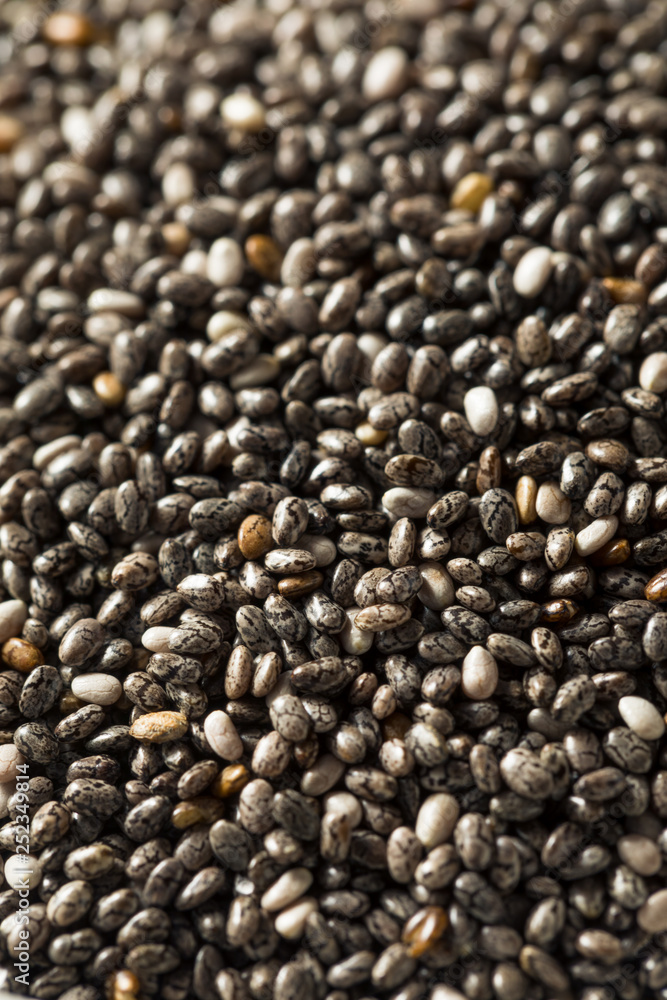 Raw Organic Black Chia Seeds Raw Organic Black Chia Seeds