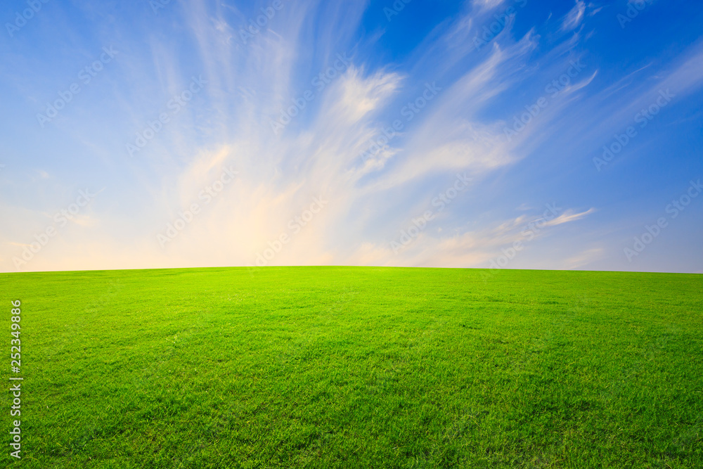Green grass and beautiful sky at sunset Green grass and beautiful sky at sunset