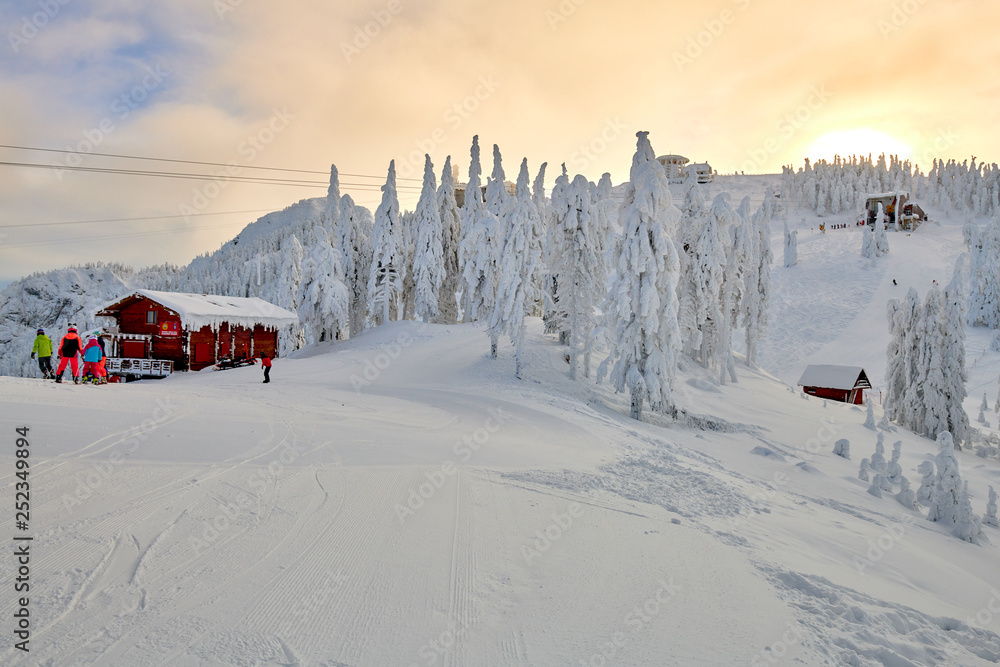 Naklejka premium Wooden chalets and spectacular ski slopes in the Carpathians,Panoramic view over the ski slope Poiana Brasov ski resort,Transylvania,Romania,Europe,Pine forest covered in snow on winter season