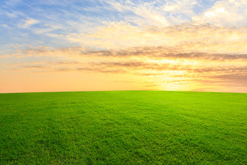Acrylglasbilder Gras Grüne Wiese im Sonnenuntergangshimmel  © ABCDstock